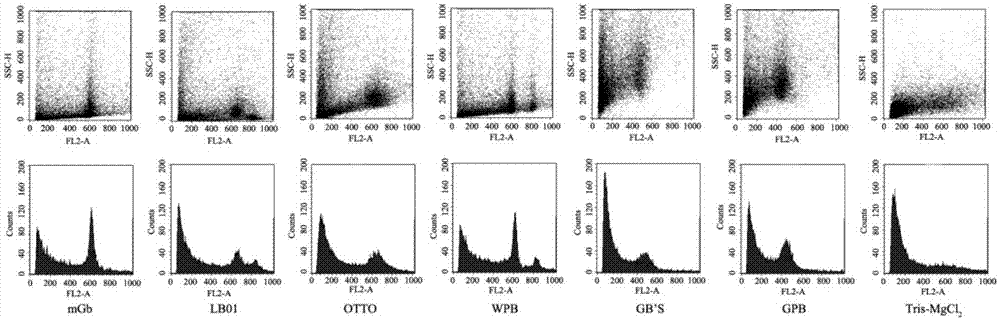 Method for determining genome size of nymphaeaceae plants