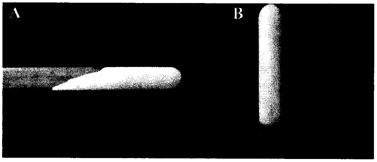 Tetrandrine nasal preparation for treating post-traumatic stress disorder