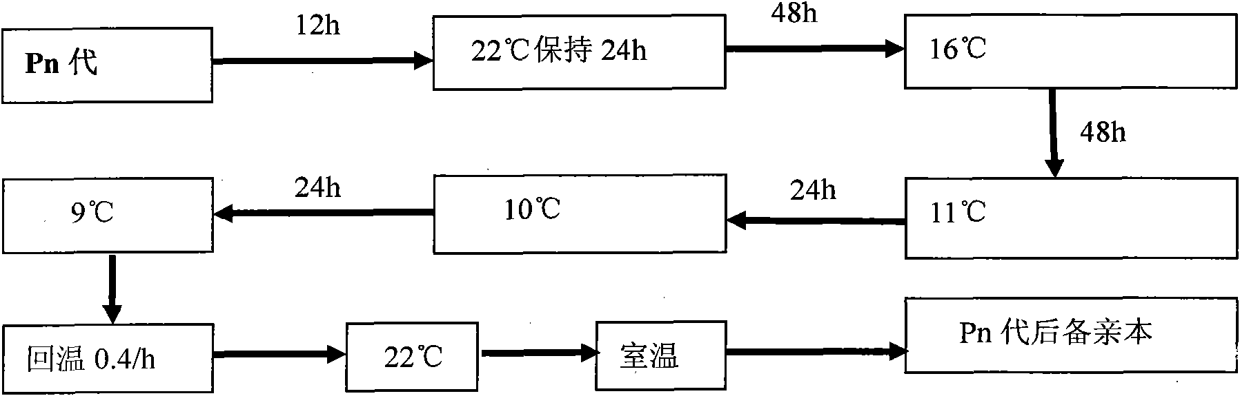 Selection method of new cold-resistant species of tilapia