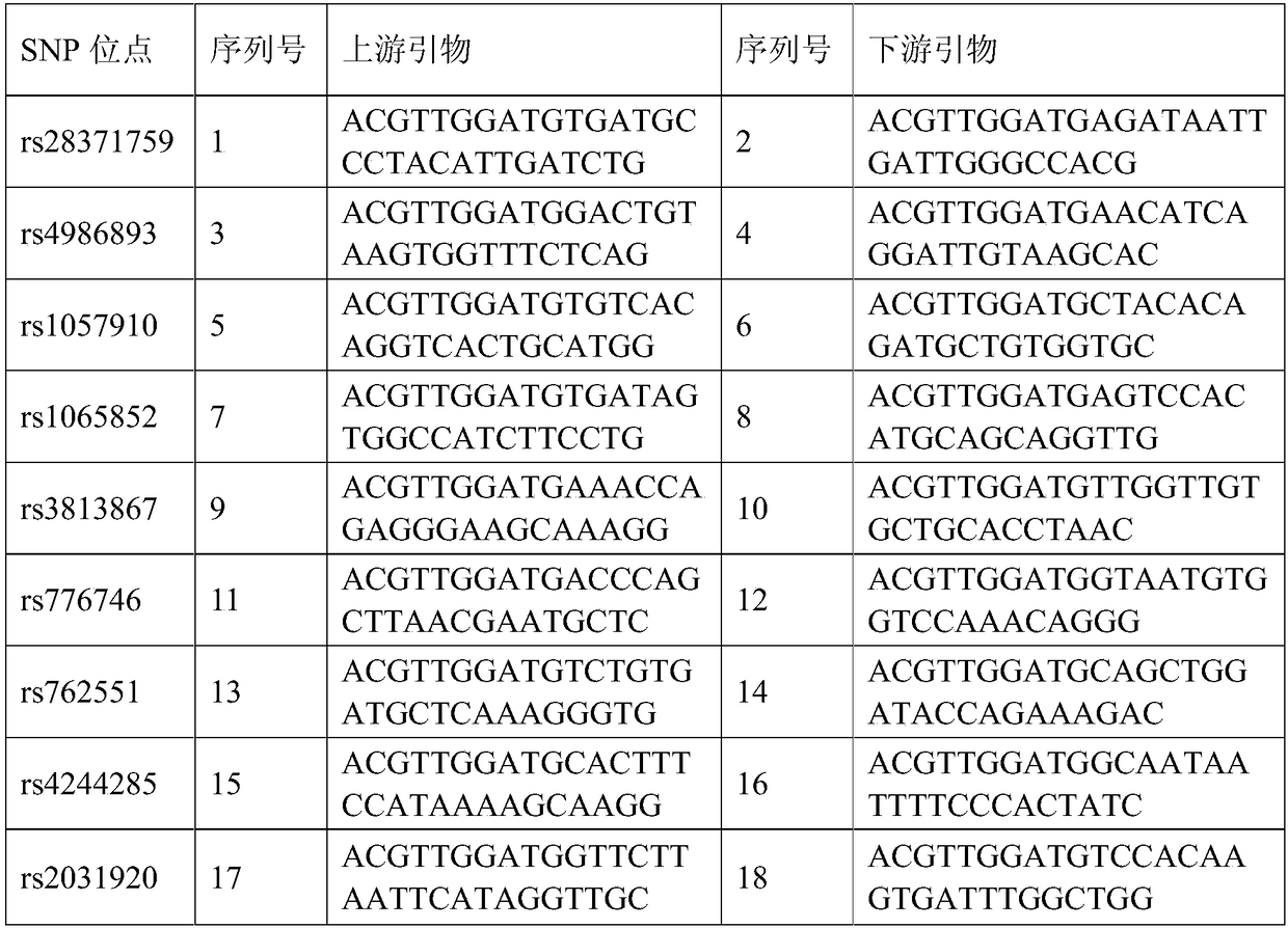 Complete-set primer for SNP (Single Nucleotide Polymorphism) sites of genes of drug-metabolizing enzyme and application thereof