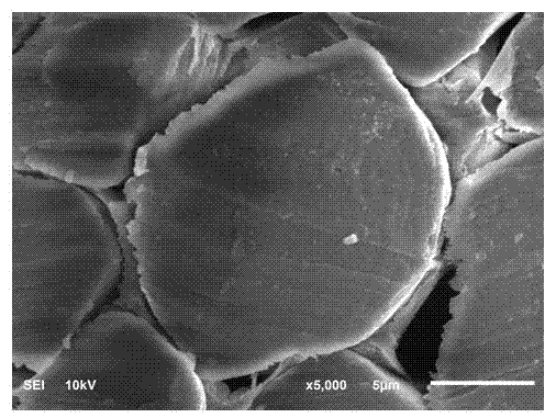 Anti-ultraviolet method for cotton fibers