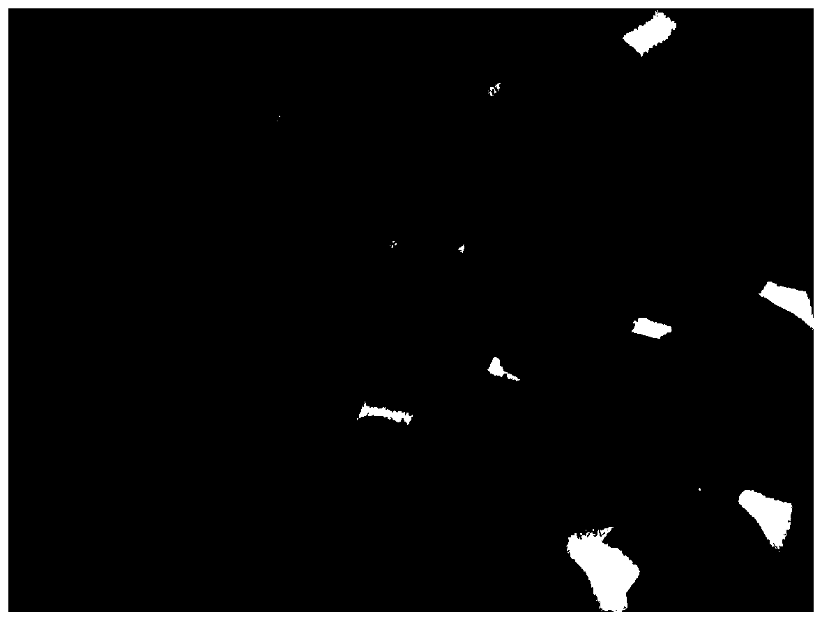 A kind of conductive thermal conductive polymer fiber and preparation method thereof