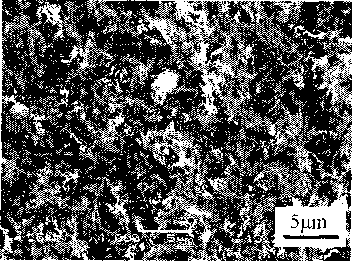 Preparation method for necklace shaped lead titanate nano wire