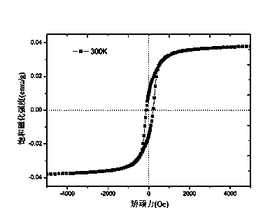 Supercritical carbon dioxide method for extraction separation of magnetosomes from magnetotactic bacteria