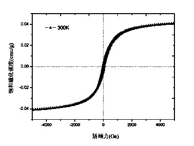 Supercritical carbon dioxide method for extraction separation of magnetosomes from magnetotactic bacteria