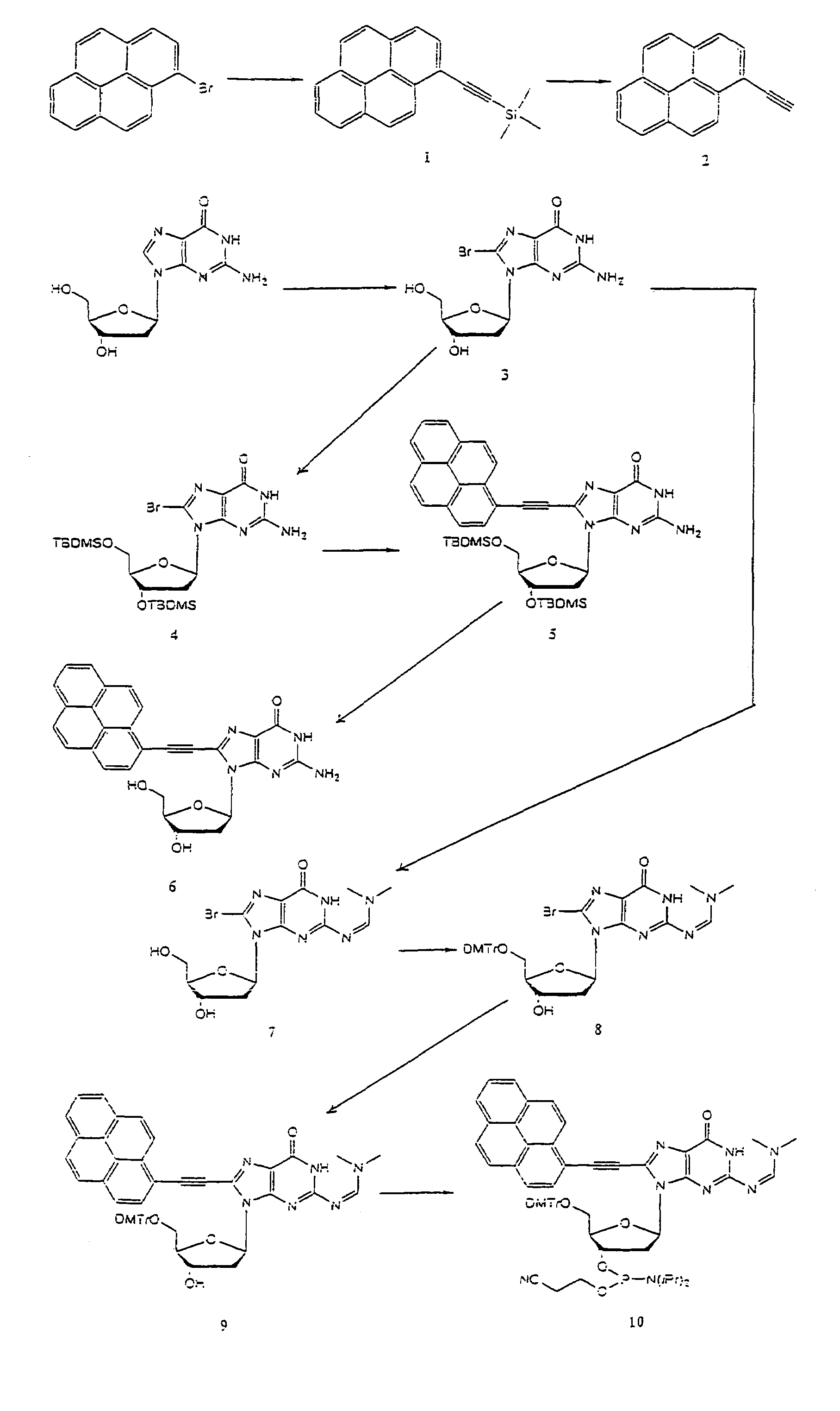 Nucleotide derivative and DNA microarray