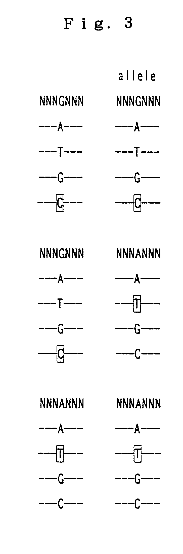 Nucleotide derivative and DNA microarray