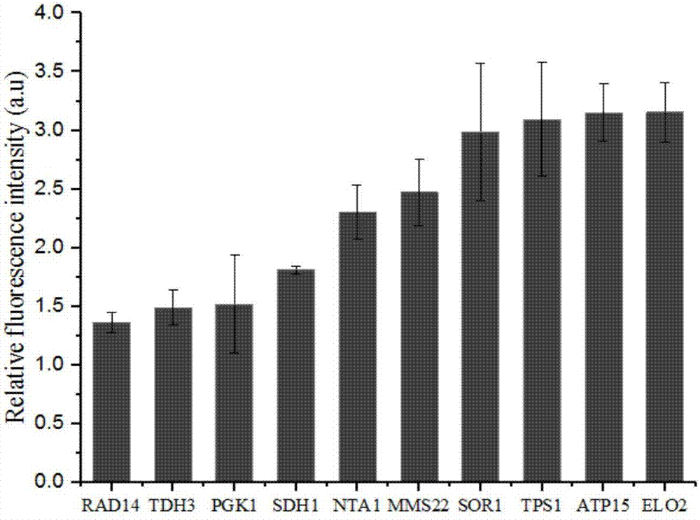 Method for regulating and controlling expression level of saccharomyces cerevisiae genes by using terminators