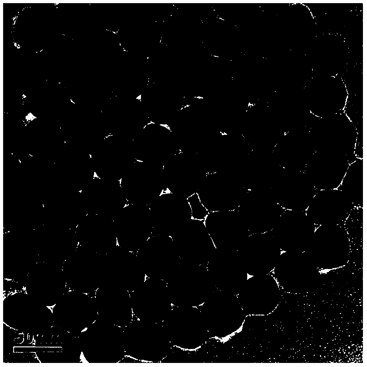 Method for synthesizing oil-soluble gold nanoparticles