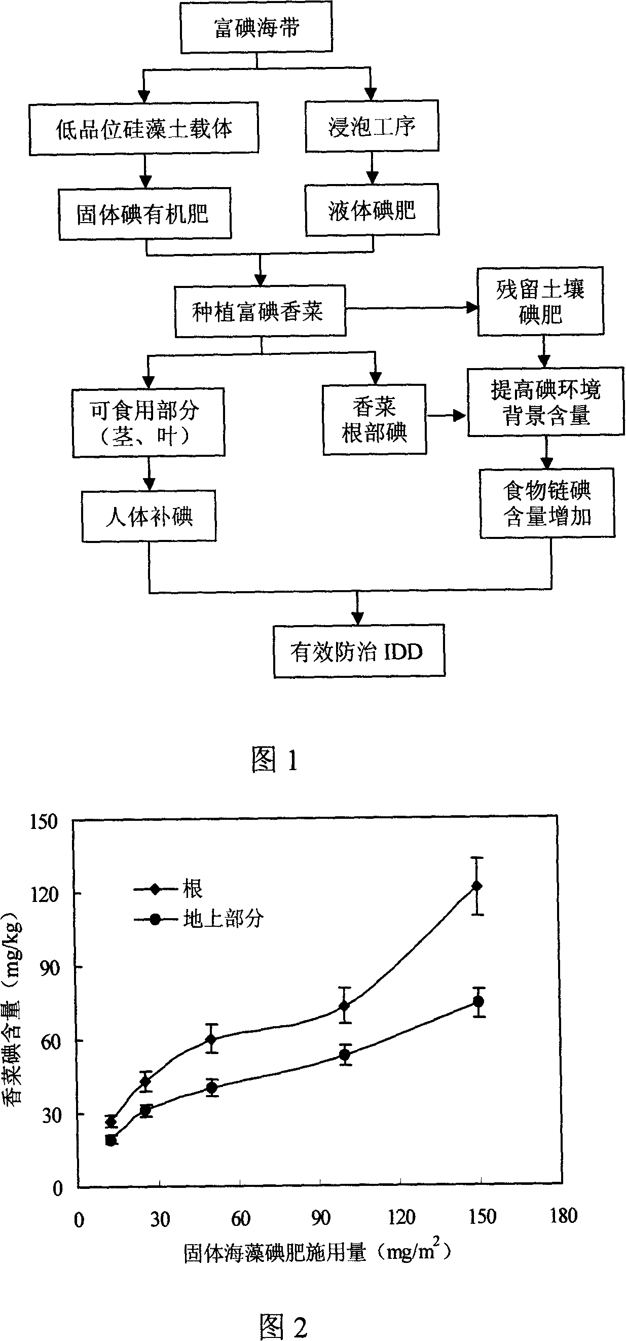 Planting method of iodine-enriched caraway