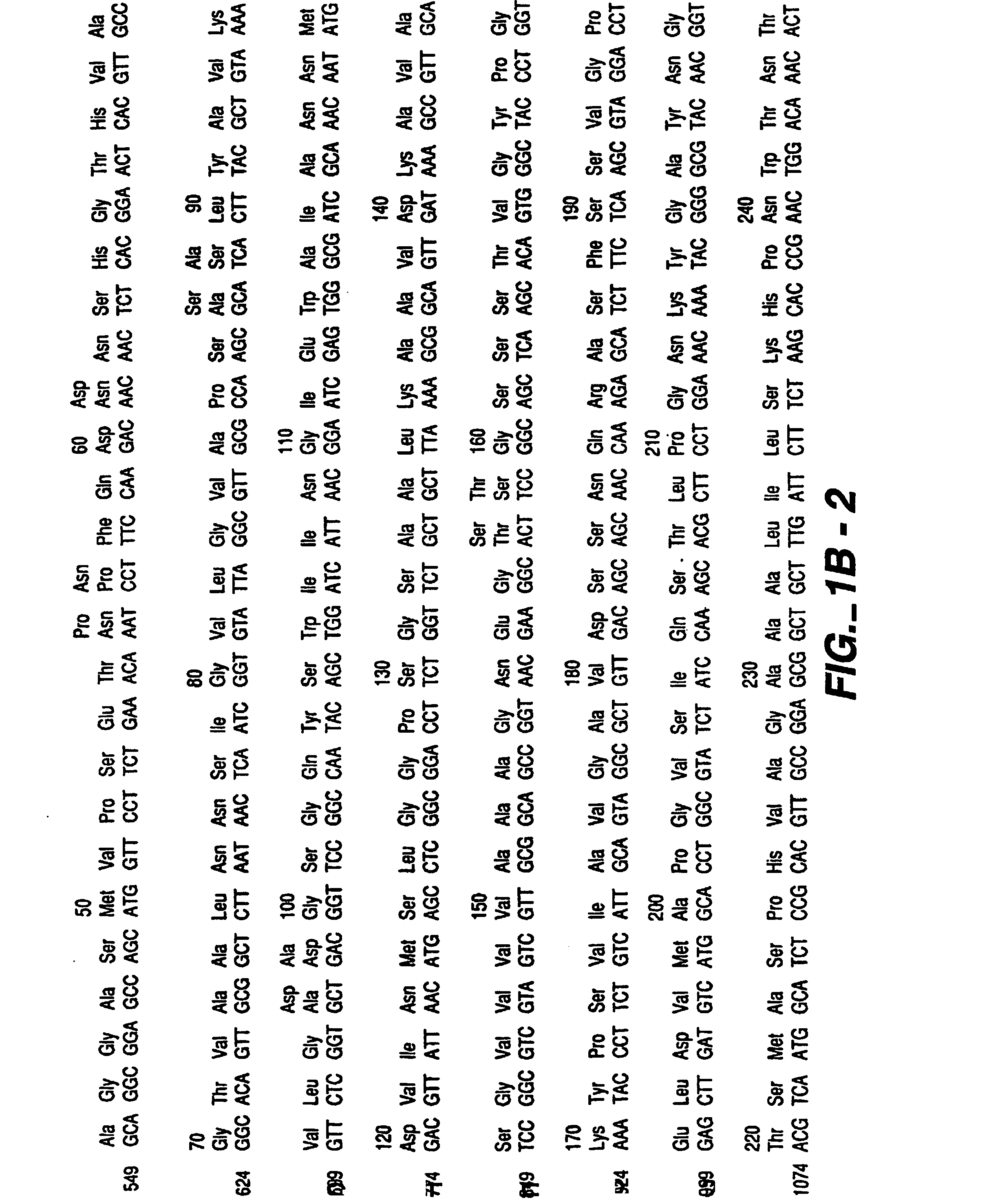 Proteases producing an altered immunological response and methods of making and using the same