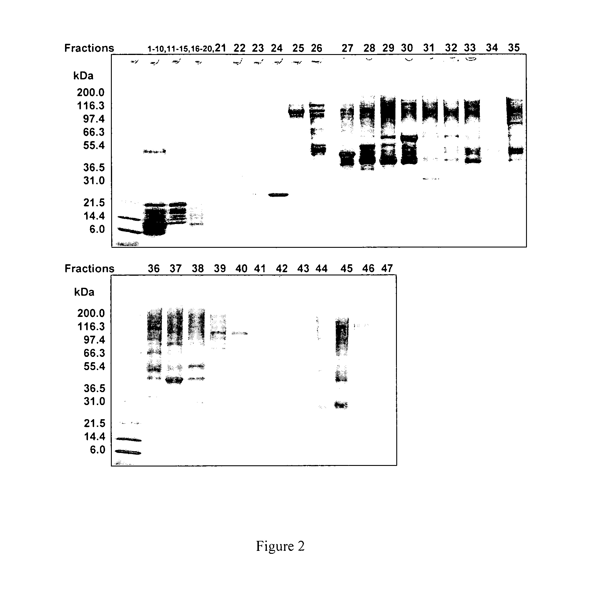 Methods and systems for on-column protein delipidation