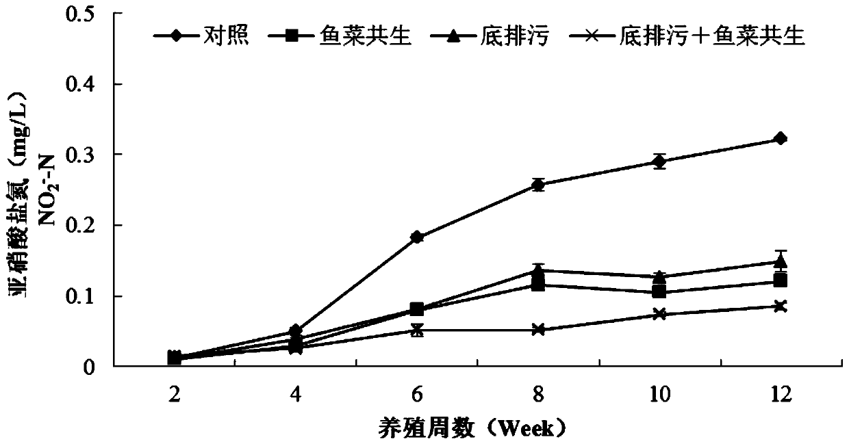 A culture method for reducing the peculiar smell of tilapia