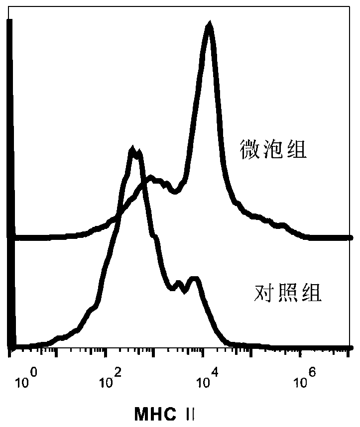 A kind of antitumor vaccine compound and preparation method, injection and application