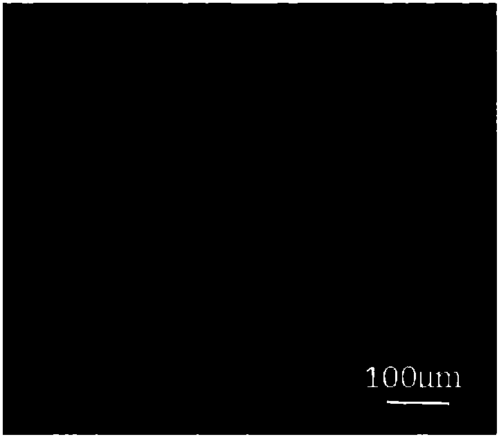 Cellulose liquid crystal composition and preparation method thereof