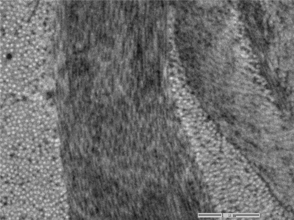 Corneal graft material capable of rapidly repairing damaged tissue and preparation method thereof