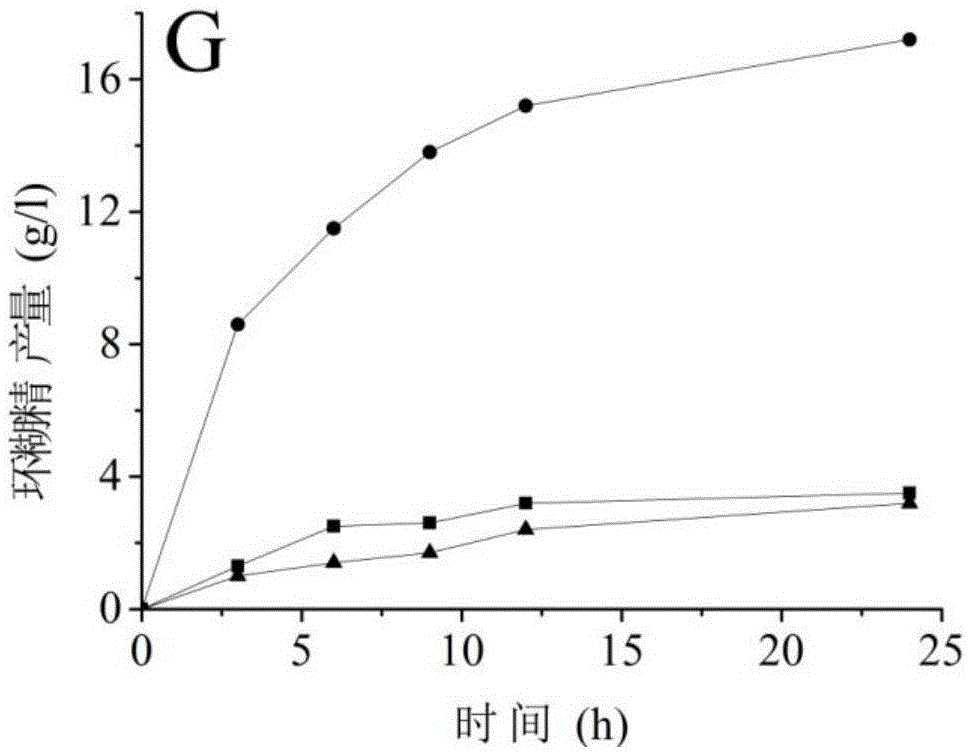 A cyclodextrin glucosyltransferase mutant with improved cyclization activity