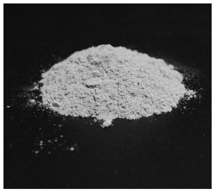 Method for fermenting pigeonpea seed by immobilizing bacillus natto