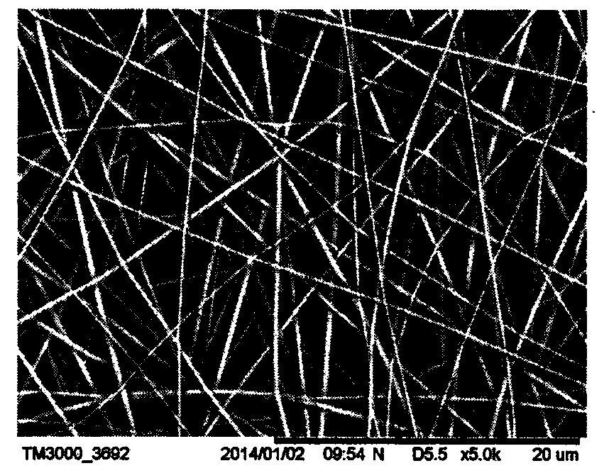 Antibacterial wound dressing and preparation method thereof