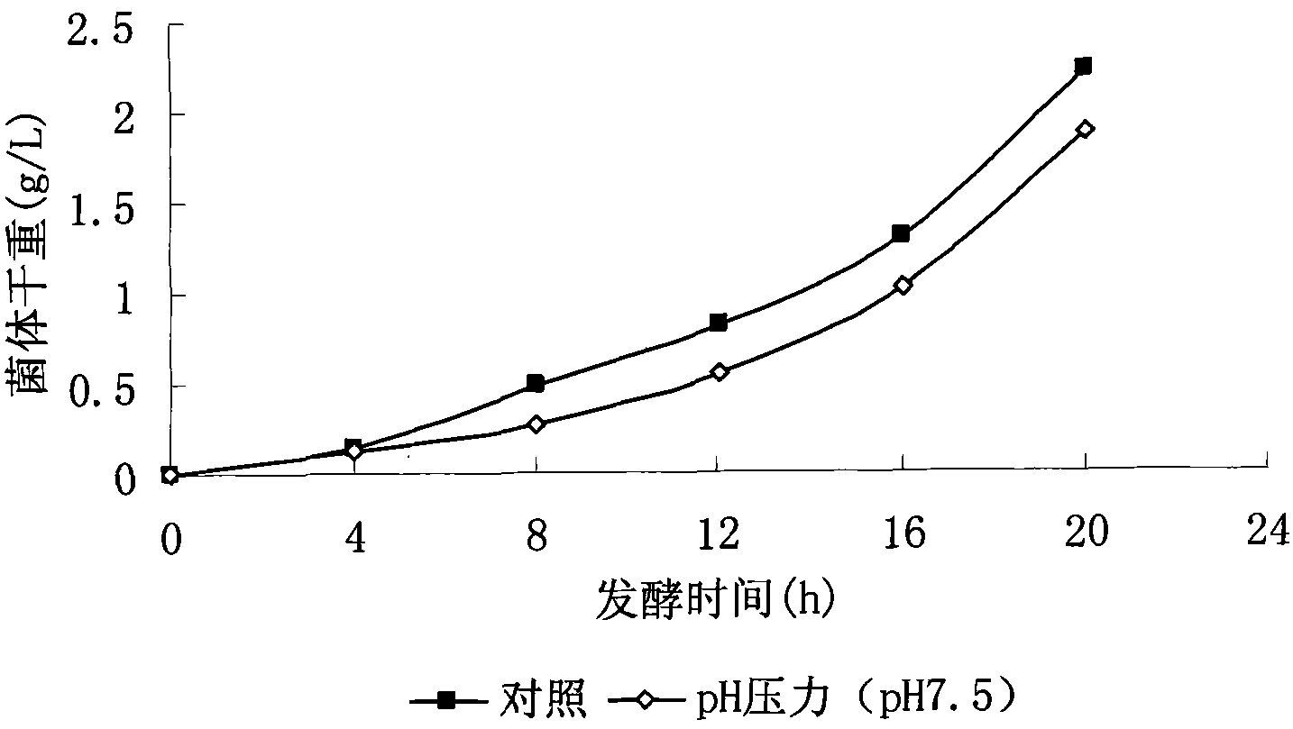 Method for enhancing yield of bacillus fermentation poly-gamma-glutamate by utilizing environmental pressure