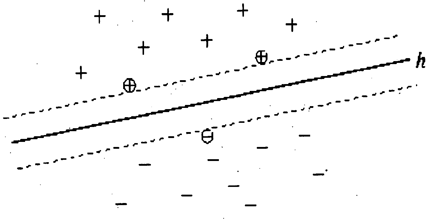 Automatic biometric identification based on face recognition and support vector machines