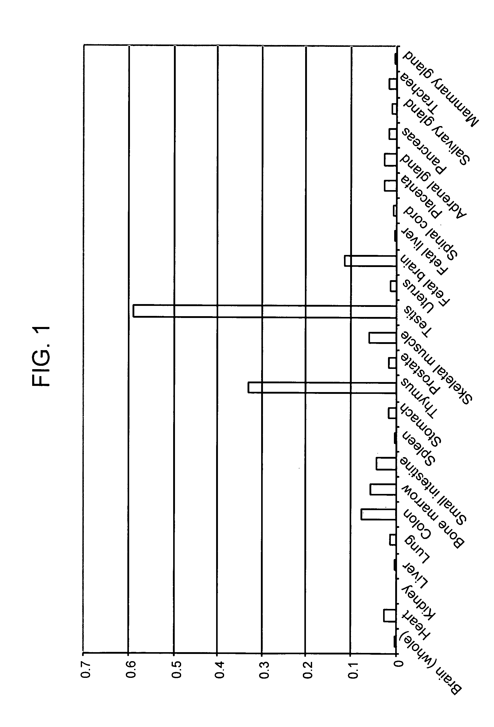 HX2004-6 polypeptide expressed in cancerous cells