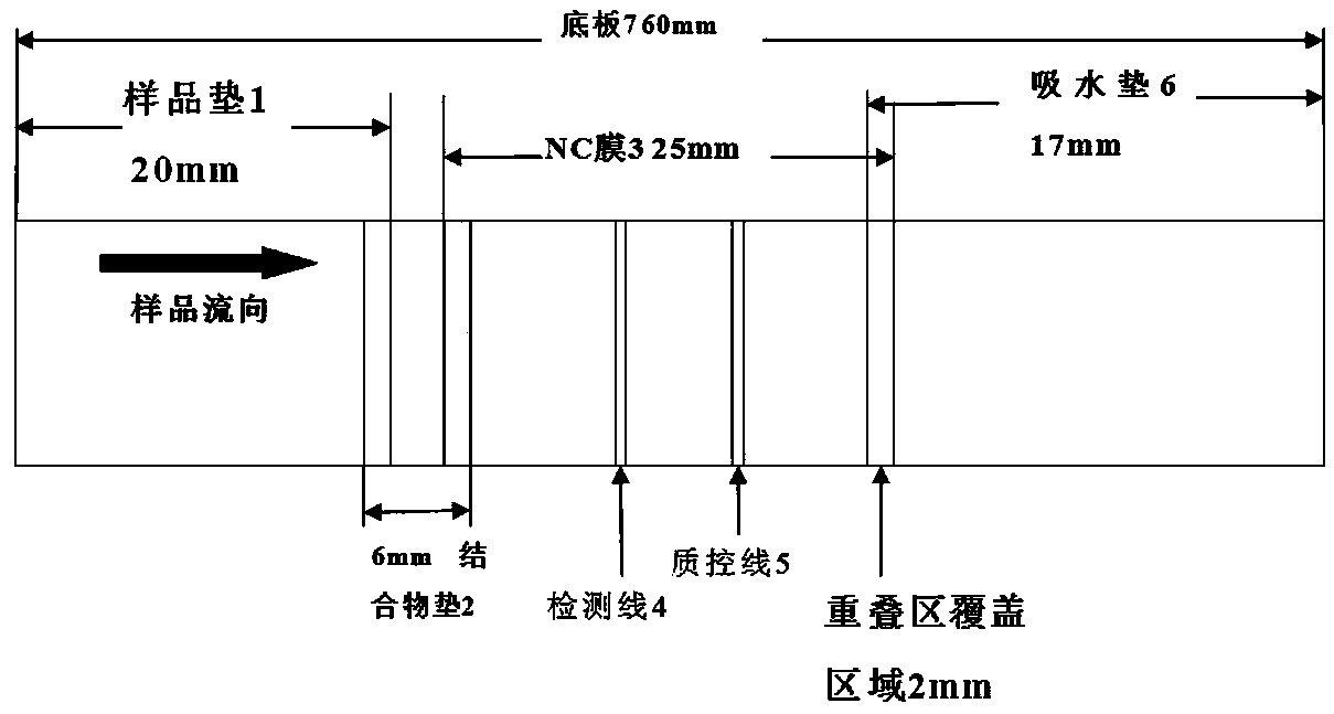 Time-resolved fluorescent immunochromatographic test strip for quantitatively detecting CA153 in blood and preparation method