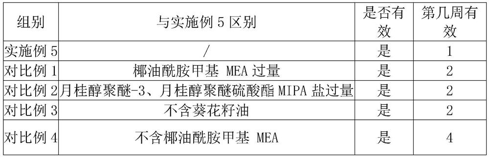 Shampoo oil capable of purifying scalp hair follicles and preparation method thereof