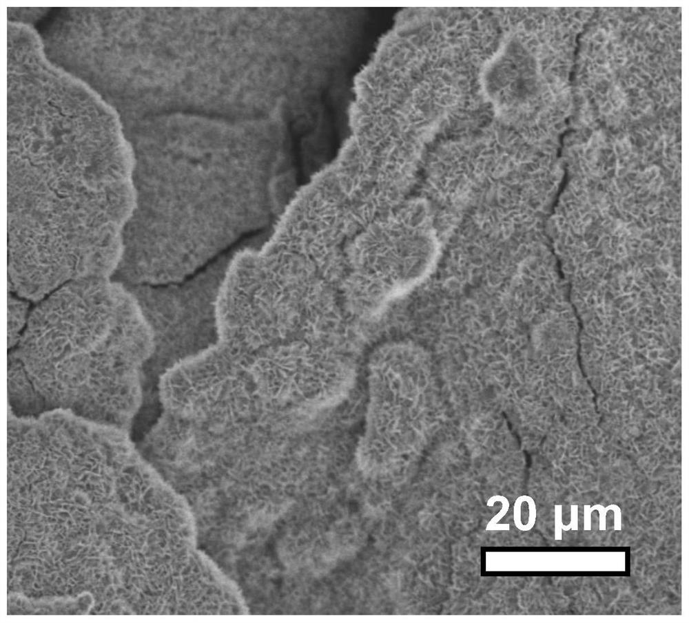 Preparation method of transition metal doped nickel-based metal organic framework three-dimensional electrode material, product and application thereof