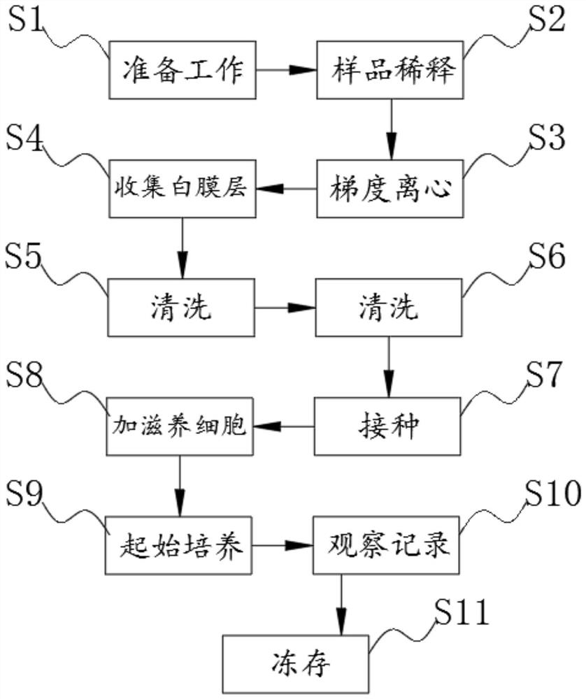 Immune cell culture method