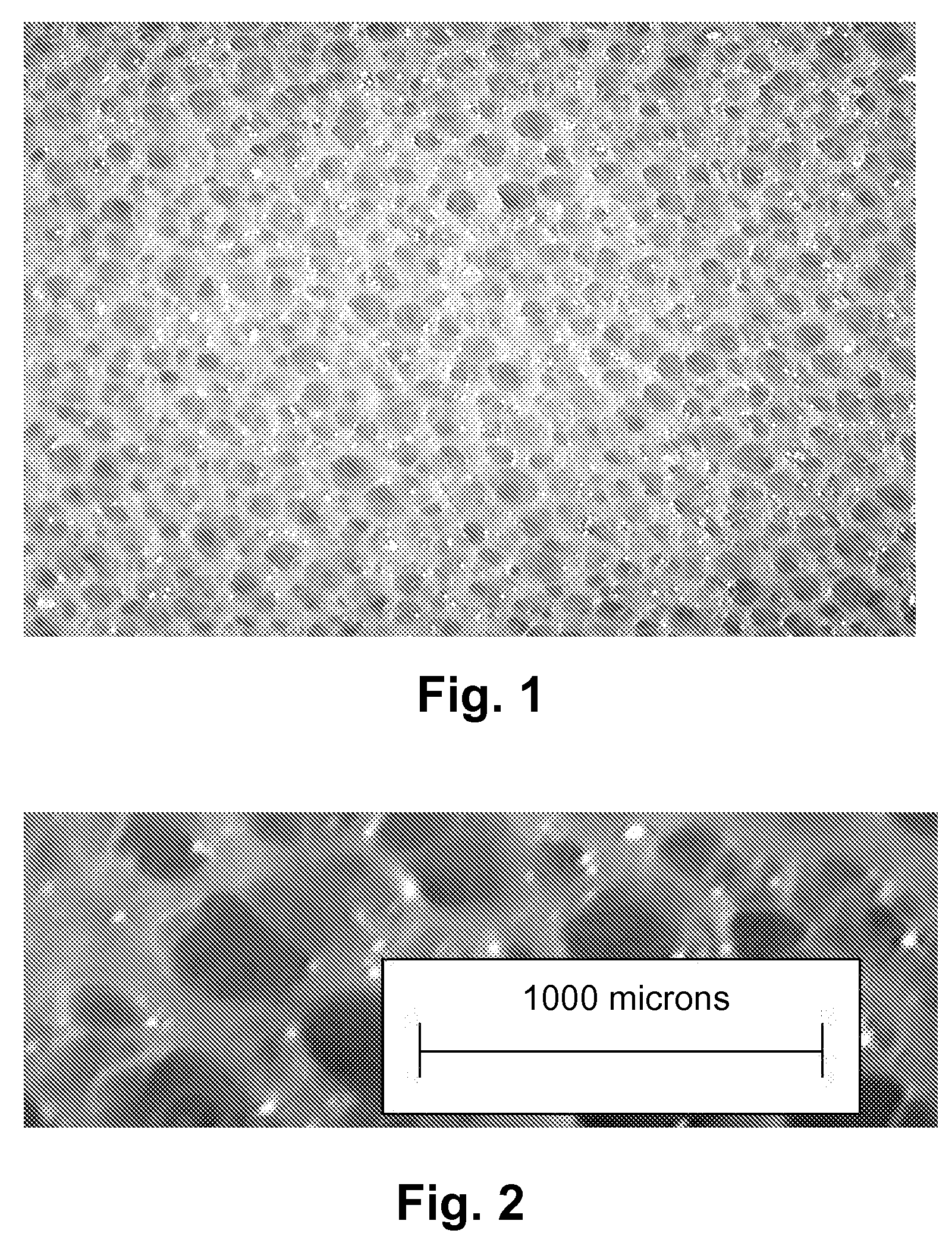 Closed cell propylene-ethylene foam