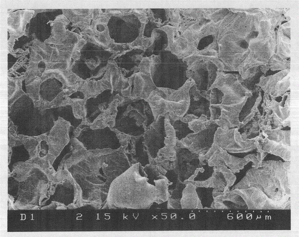 Porous biodegradable stent and preparation method thereof