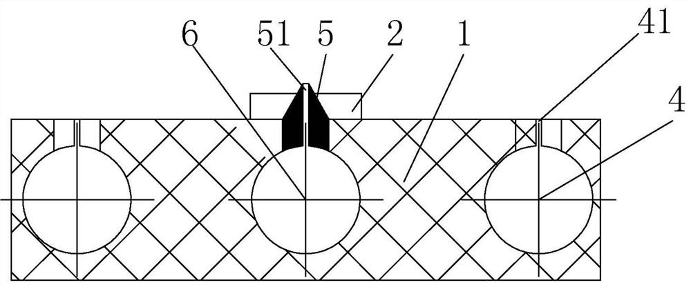 A green prevention and control method using cucumber to trap and kill snails