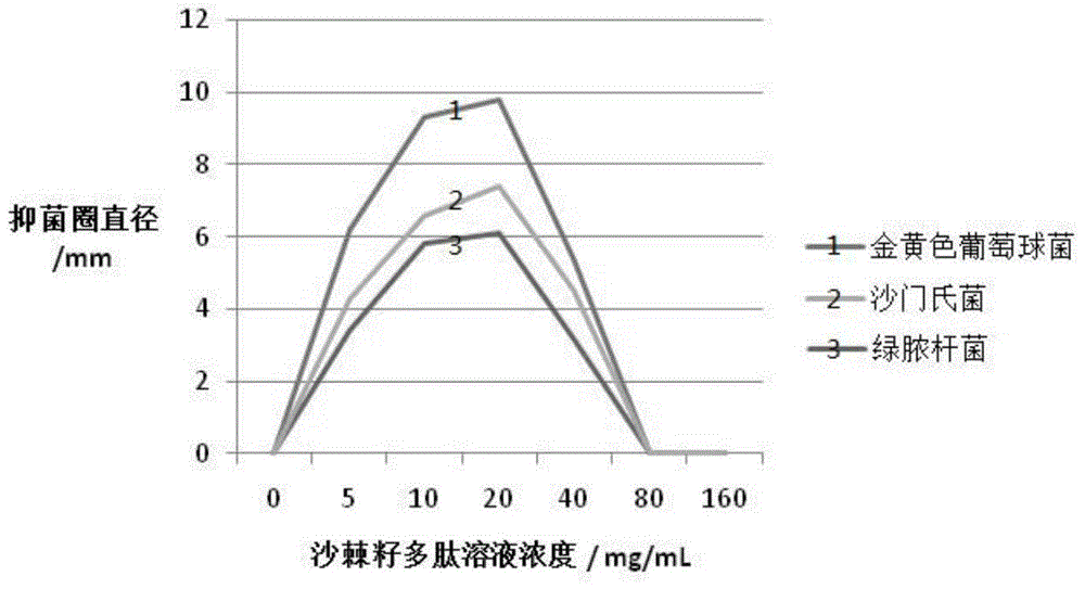 Sea-buckthorn seed polypeptide with inhibiting effect on intestinal pathogens as well as preparation method and application of sea-buckthorn seed polypeptide