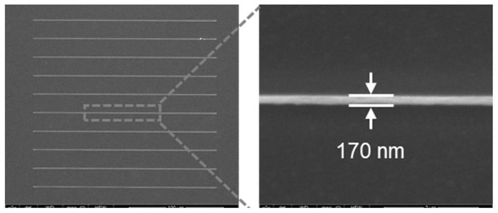 Photoresist material for micro-nano processing as well as preparation and application thereof