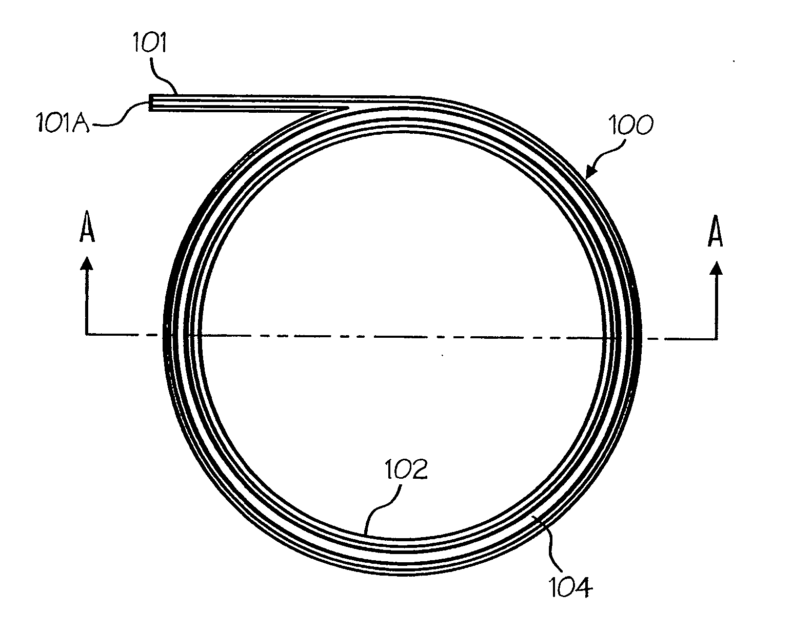 Race guide wire container