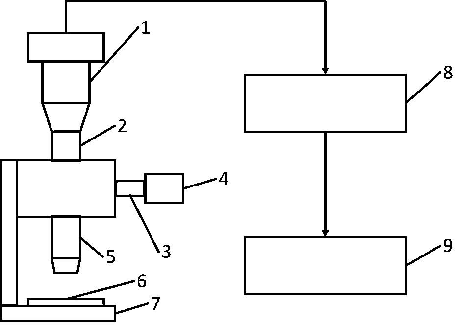 Deformity urine erythrocyte classification statistics method and system