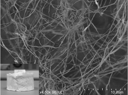 Method for preparing carbon nanofiber aerogel from plant fiber