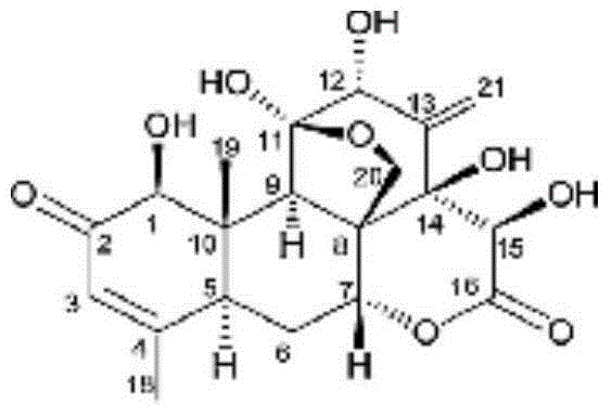 Eurycoma longifolia Jack extract and eurycomanone and preparation method and use thereof