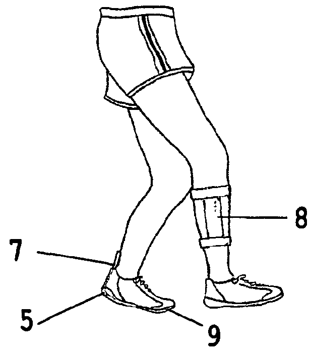 System for electrical stimulation of nerves