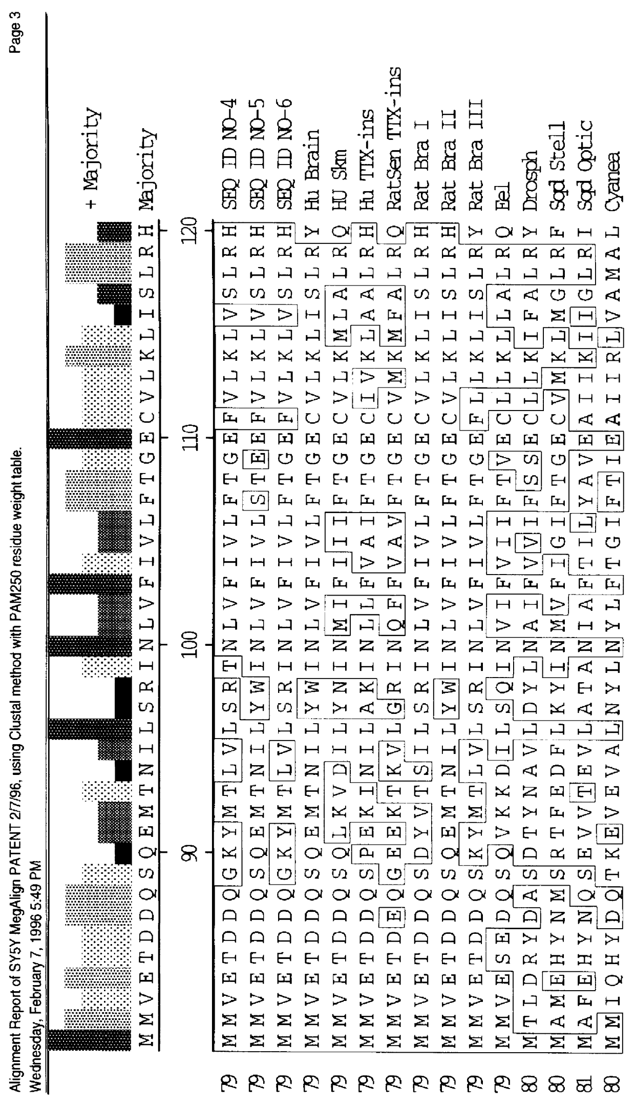 CDNA fragments corresponding to voltage gated sodium channel genes expressed in peripheral nerve