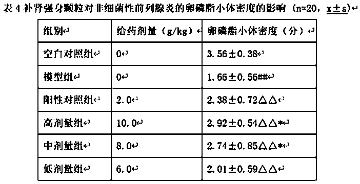 Application of kidney-tonifying and body-strengthening preparation in preparation of medicine used for treating prostatitis