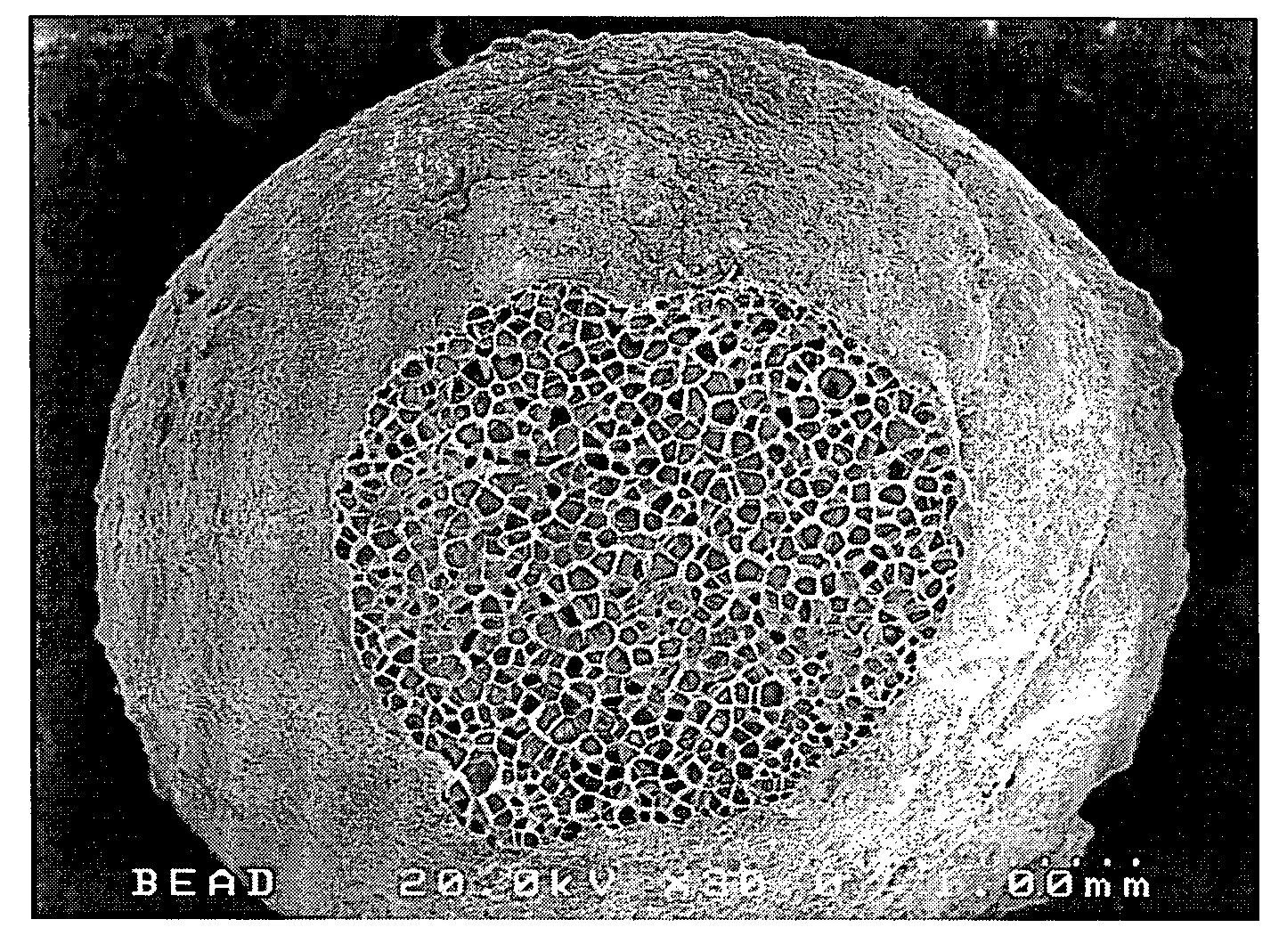 Expanded polystyrene bead having functional skin layer, manufacturing process thereof, and functional eps product and manufacturing process thereof using the same