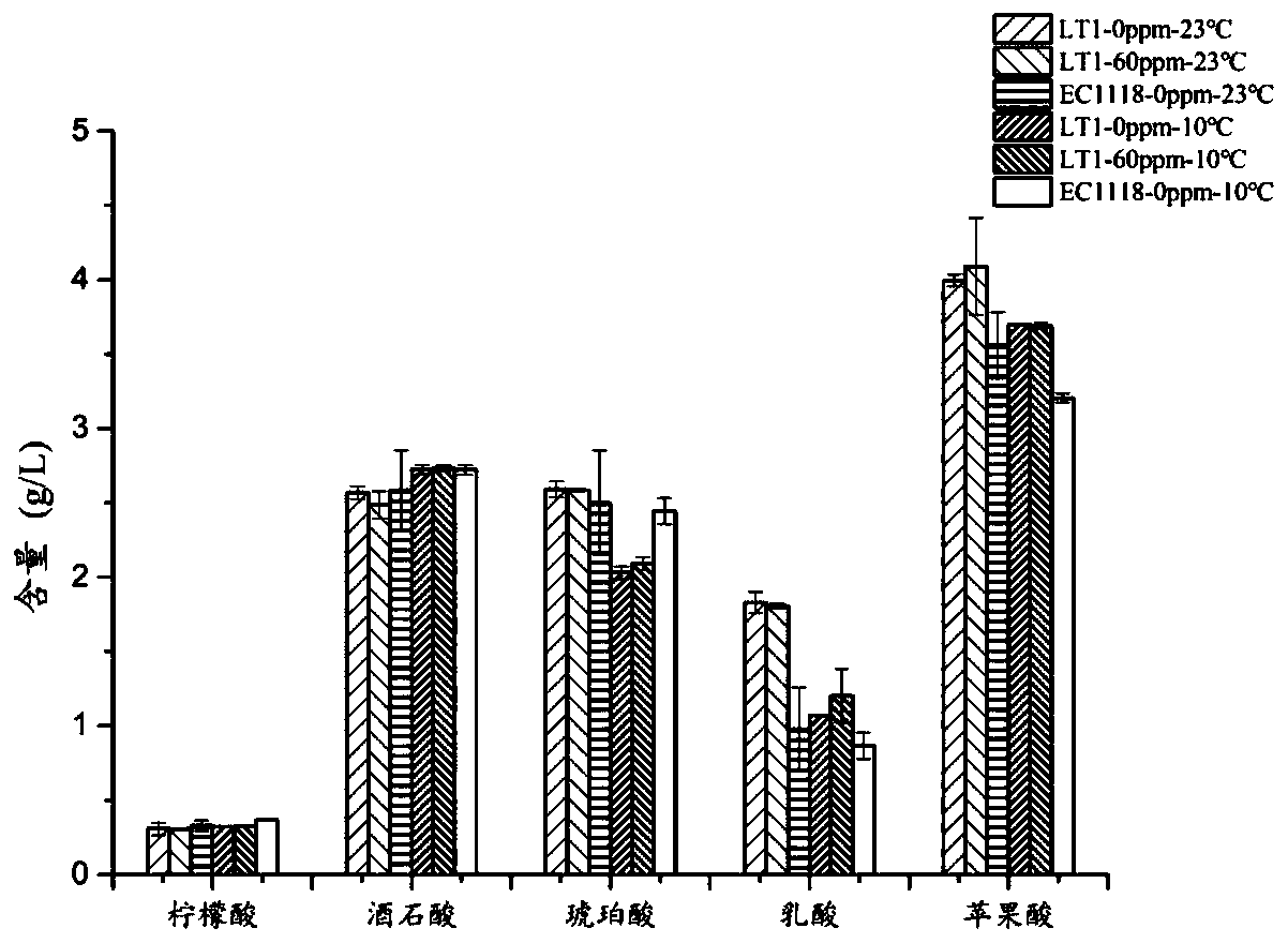 Kluyveromyces thermotolerans CVE-LT1 and application thereof in winemaking