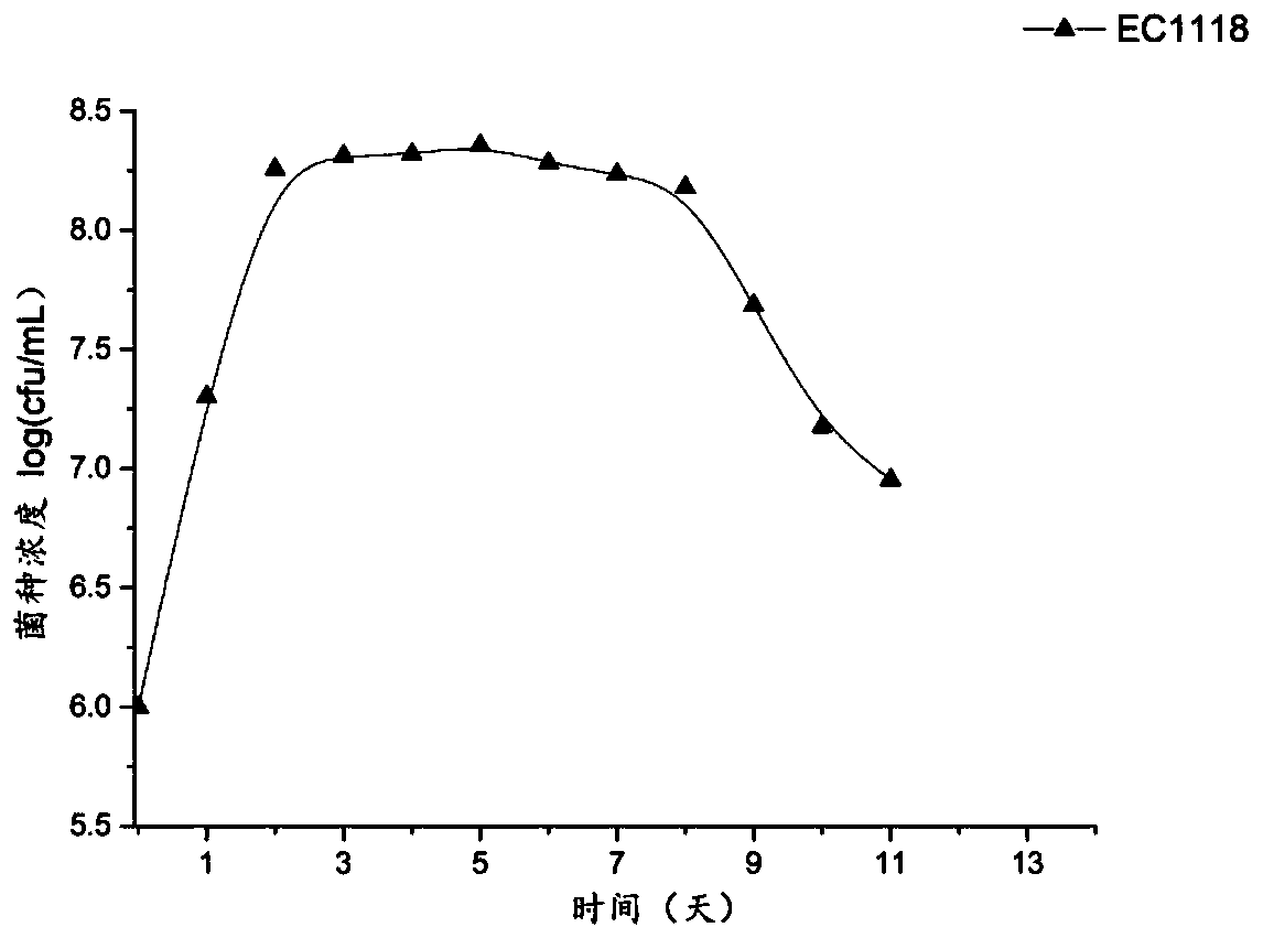 Kluyveromyces thermotolerans CVE-LT1 and application thereof in winemaking