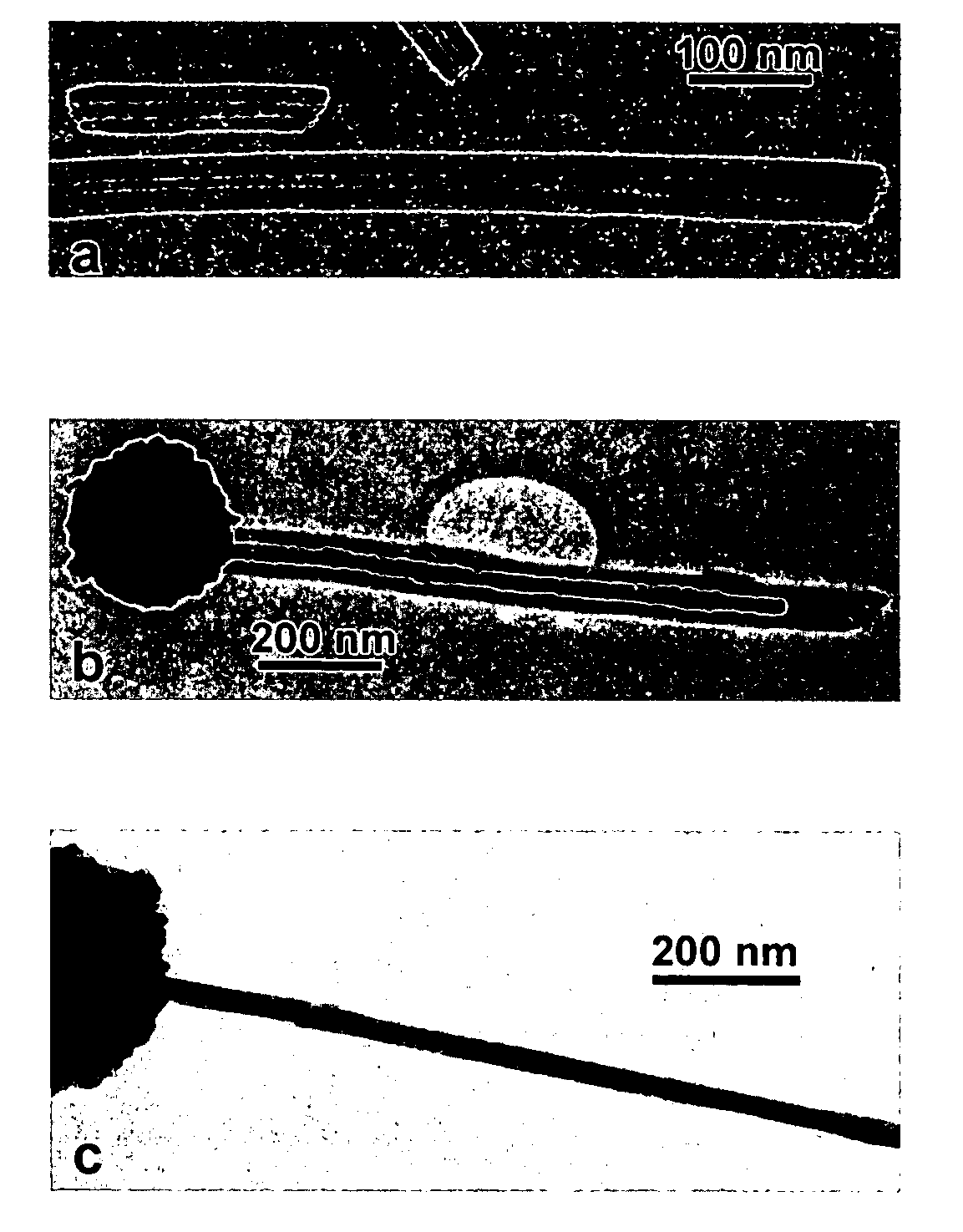 Heteroporphyrin nanotubes and composites