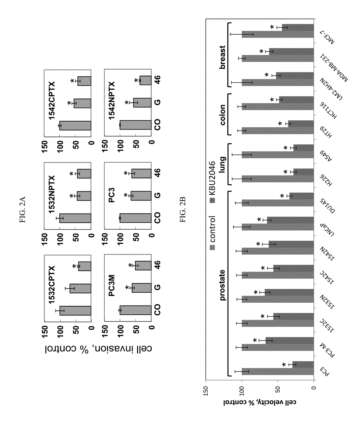 Inhibition of cancer cell motility