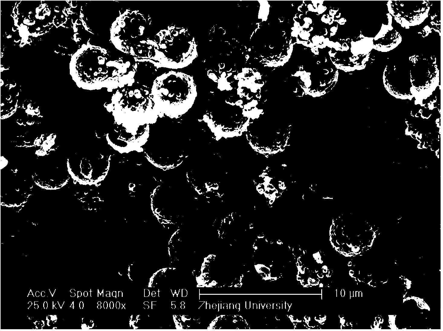 Preparation method of novel hydrophobic anti-microbial coating