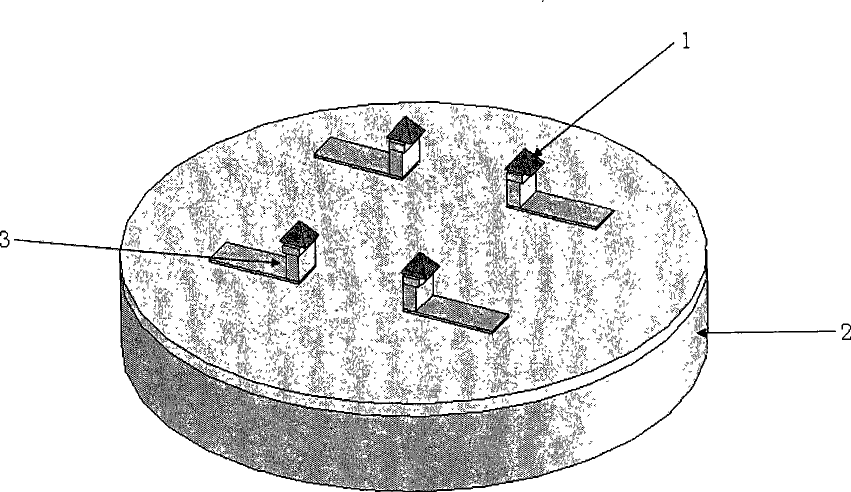 Micro-tip array device and its production method