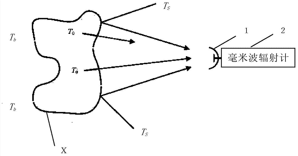 Intelligent traffic light control system of passive millimeter waves based on traffic flow